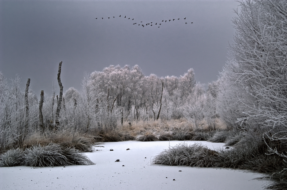 Wintermärchen ( Reload )