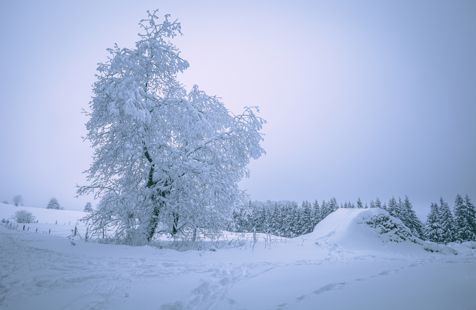 Wintermärchen Rhön 