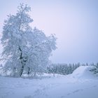 Wintermärchen Rhön 