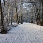 Wintermärchen Spreewald