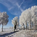 Wintermärchen V