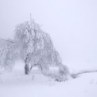 Wintermärchen Vogelsberg