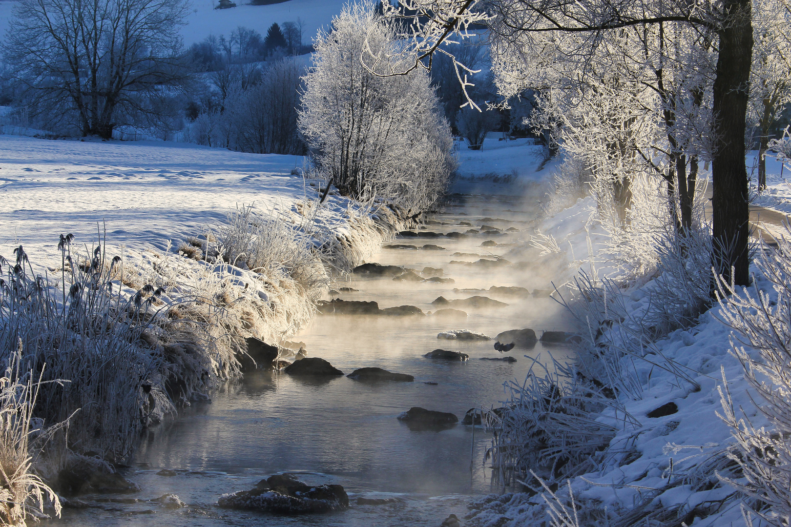 Wintermärchen1