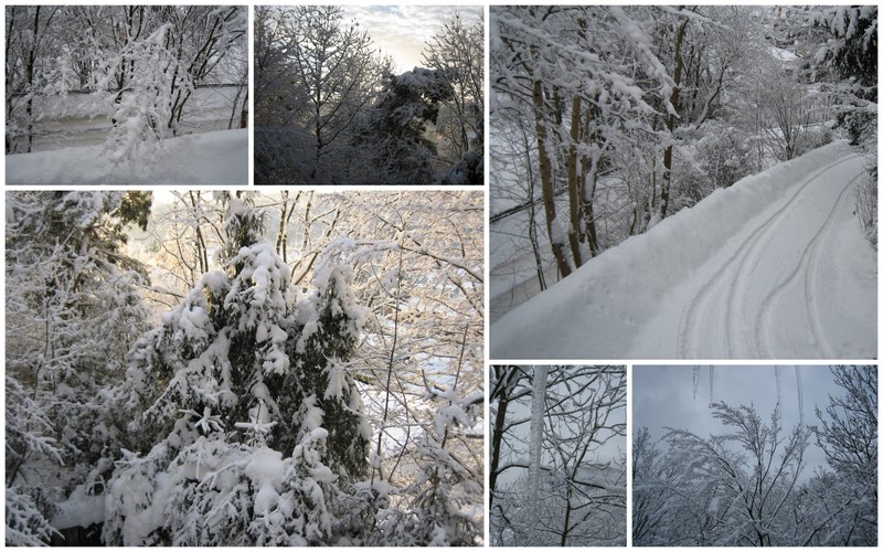 Wintermärchen...in Hatzfeld