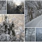 Wintermärchen...in Hatzfeld
