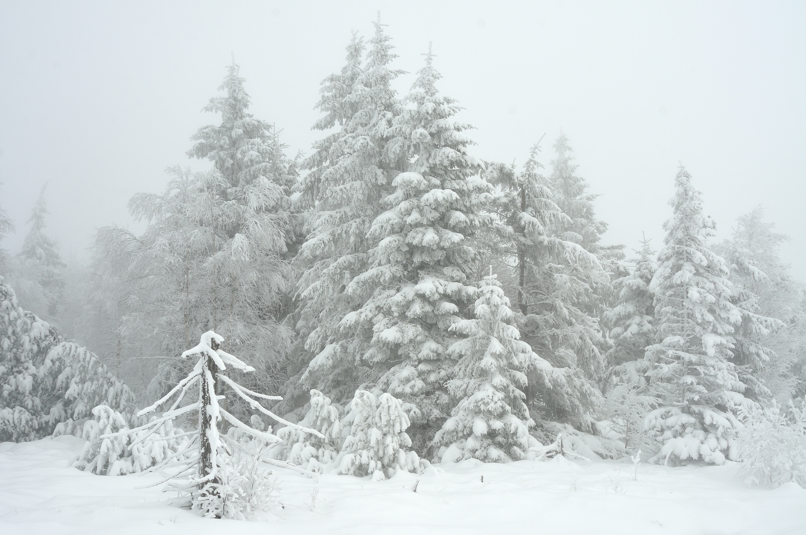 Wintermärchenland