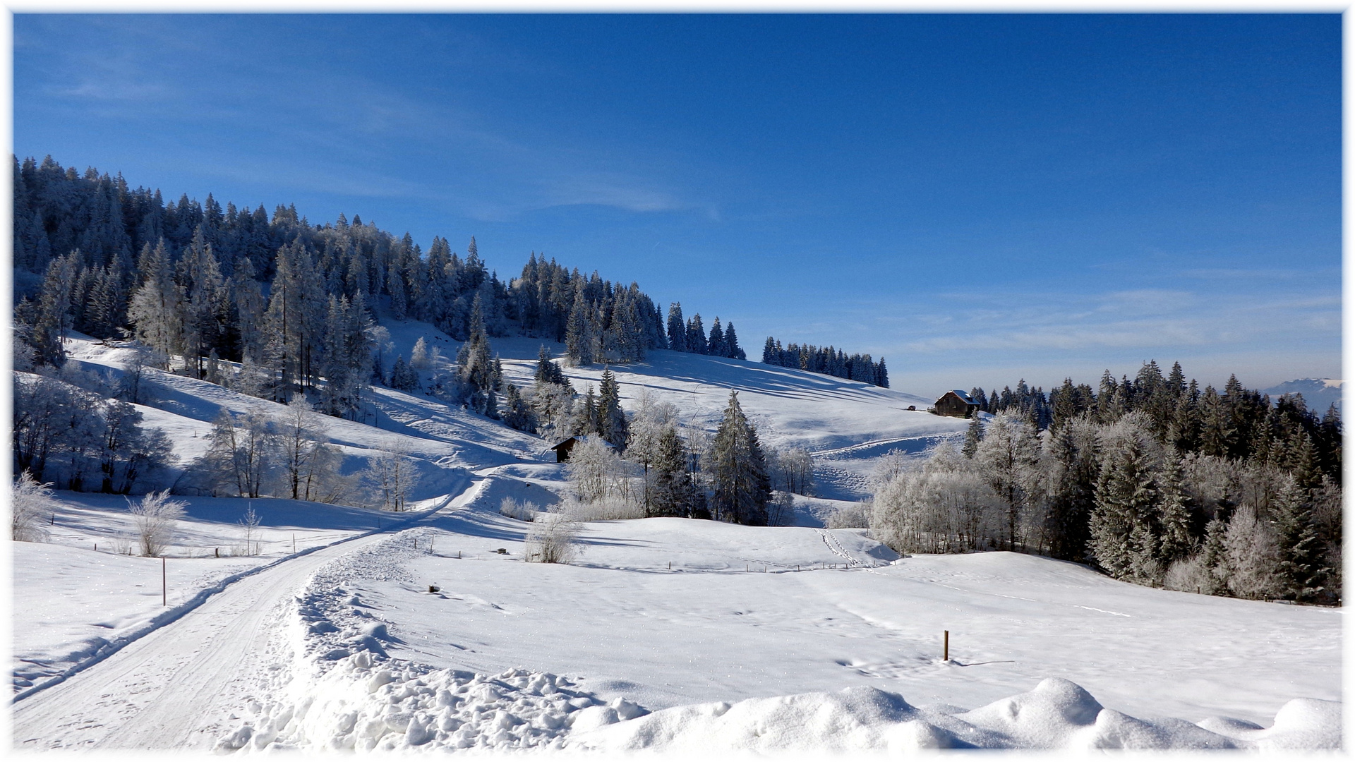 wintermärchenlandschaft III