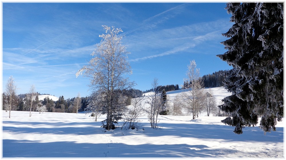 wintermärchenlandschaft IIII