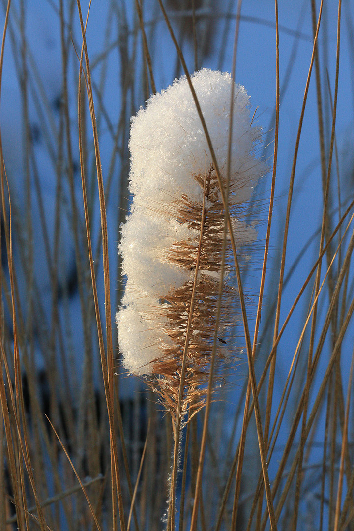 Wintermantel