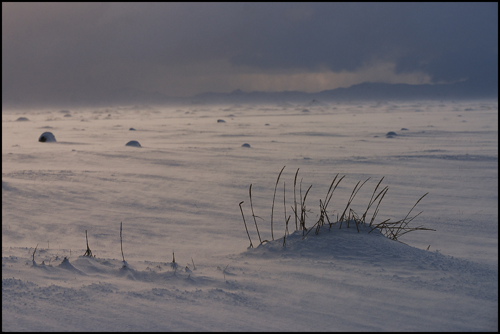 Wintermelancholie-farbig