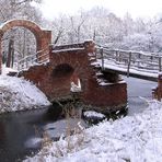 Wintermelancholie - Gartenreichbummel 21.1