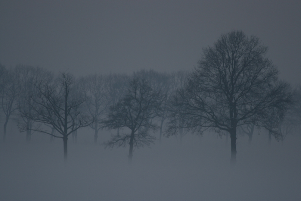 Wintermist