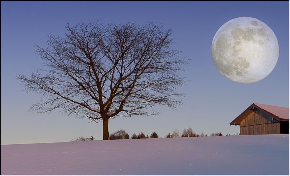 "wintermond"