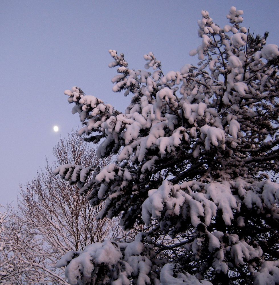 Wintermond heute