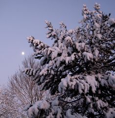 Wintermond heute