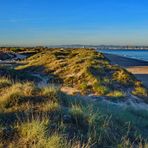 Wintermood in Valencia: Pinedo Strand