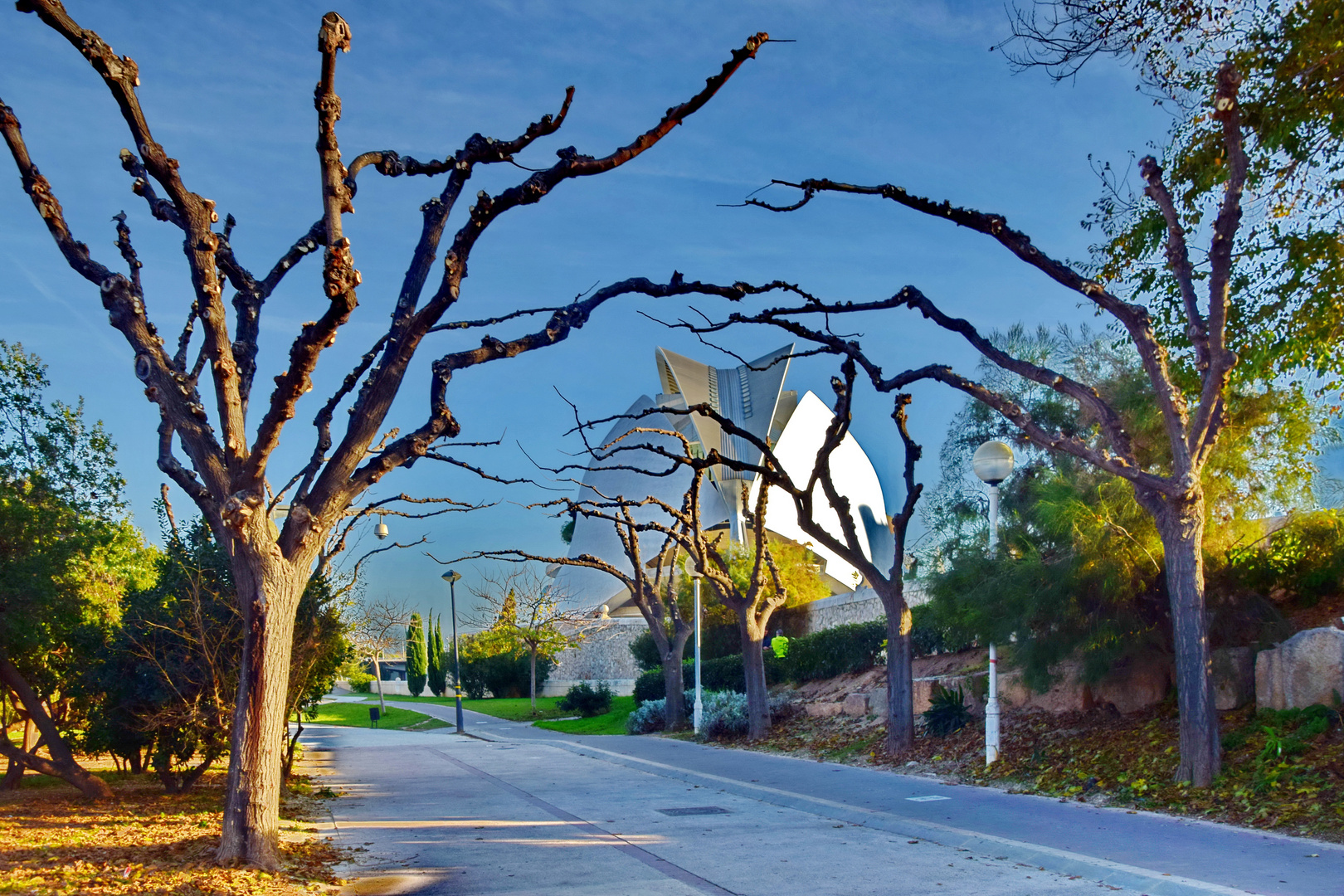 Wintermood in Valencia: Turia Park