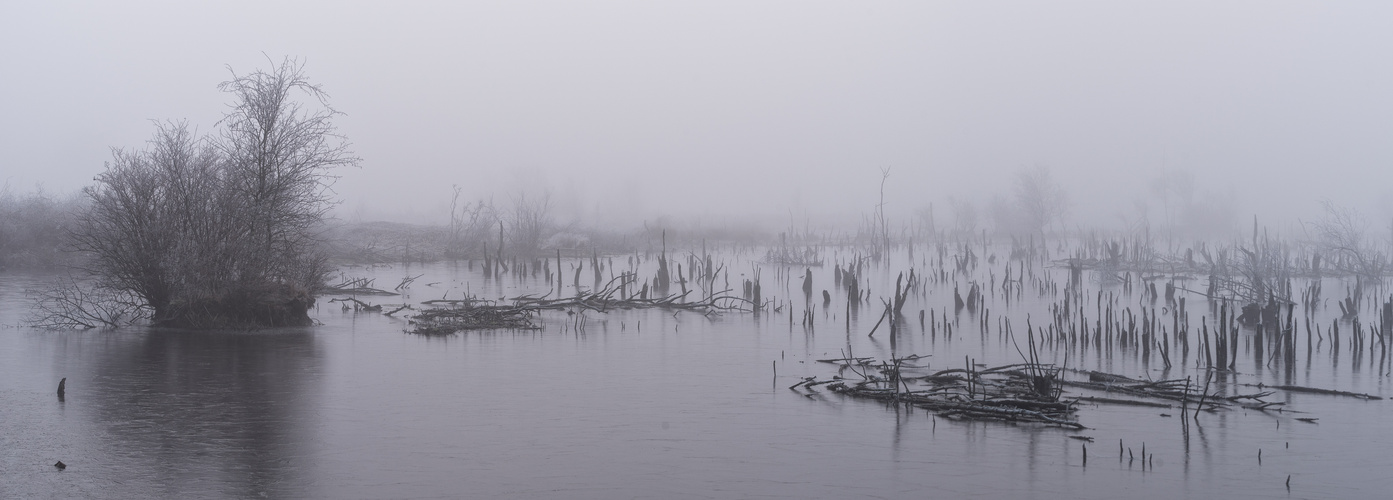 Wintermoorpano