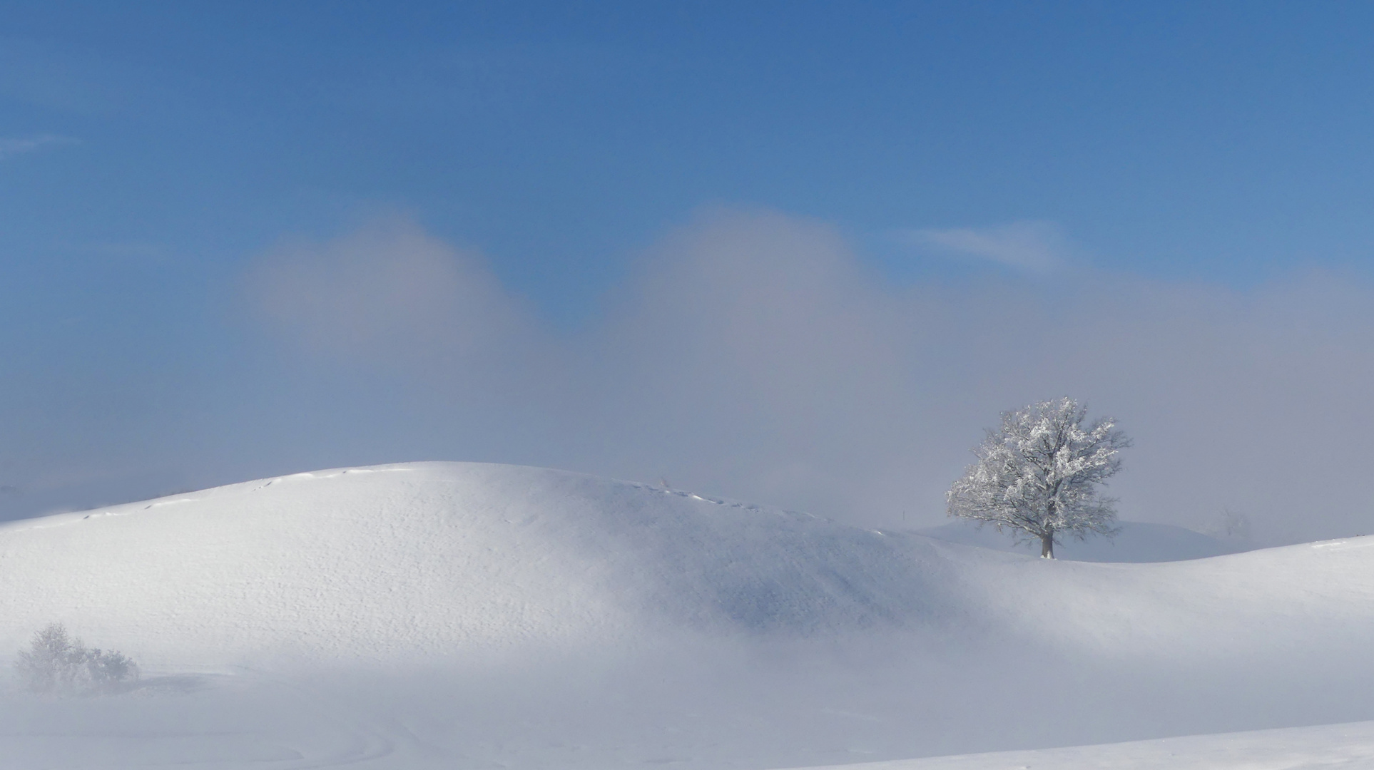 Wintermoräne