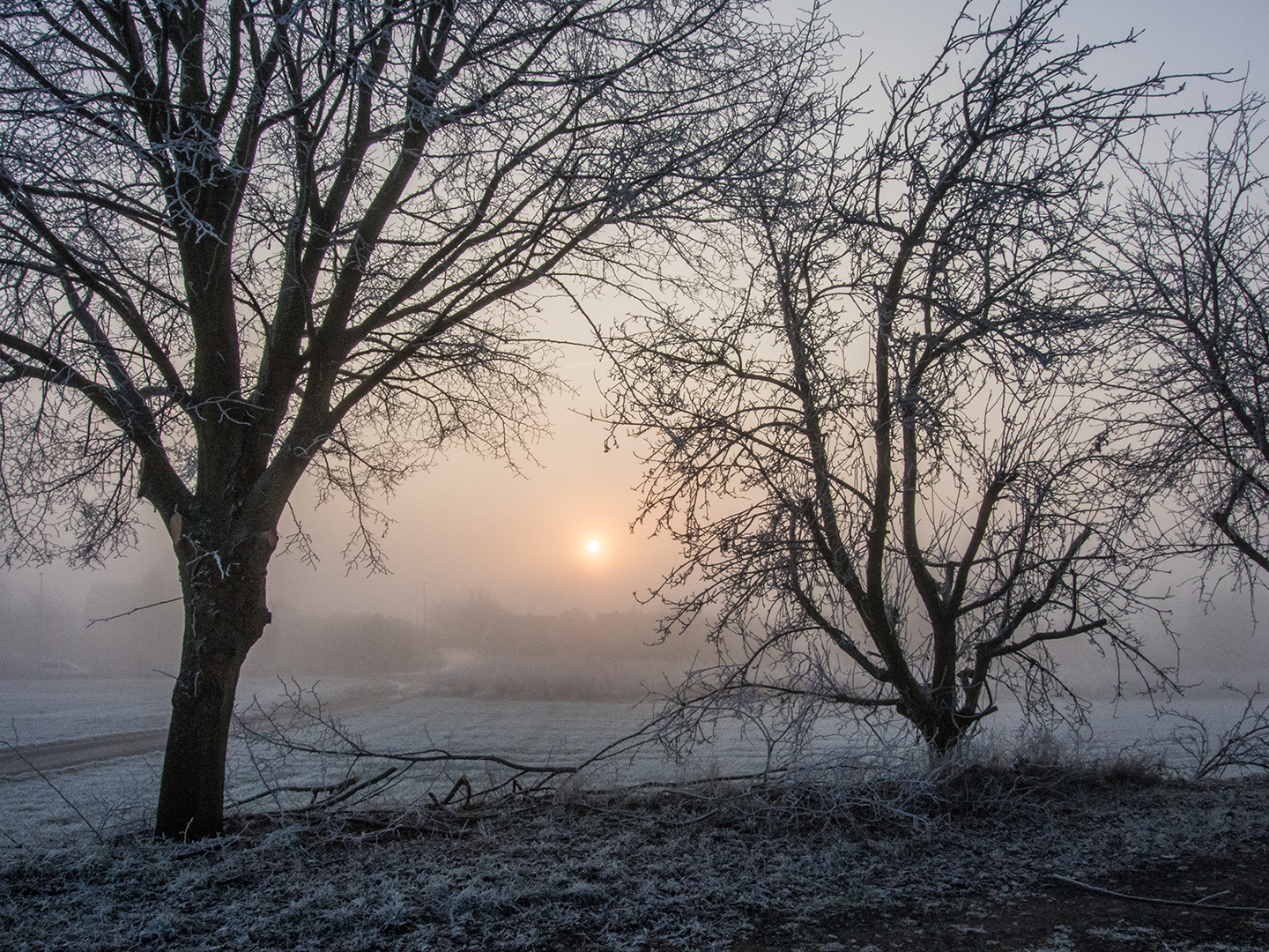 Wintermorgen