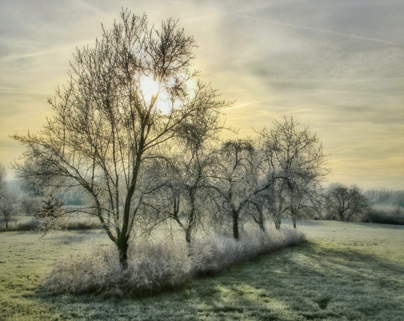 Wintermorgen