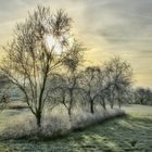 Wintermorgen