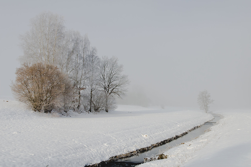 Wintermorgen