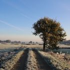 Wintermorgen