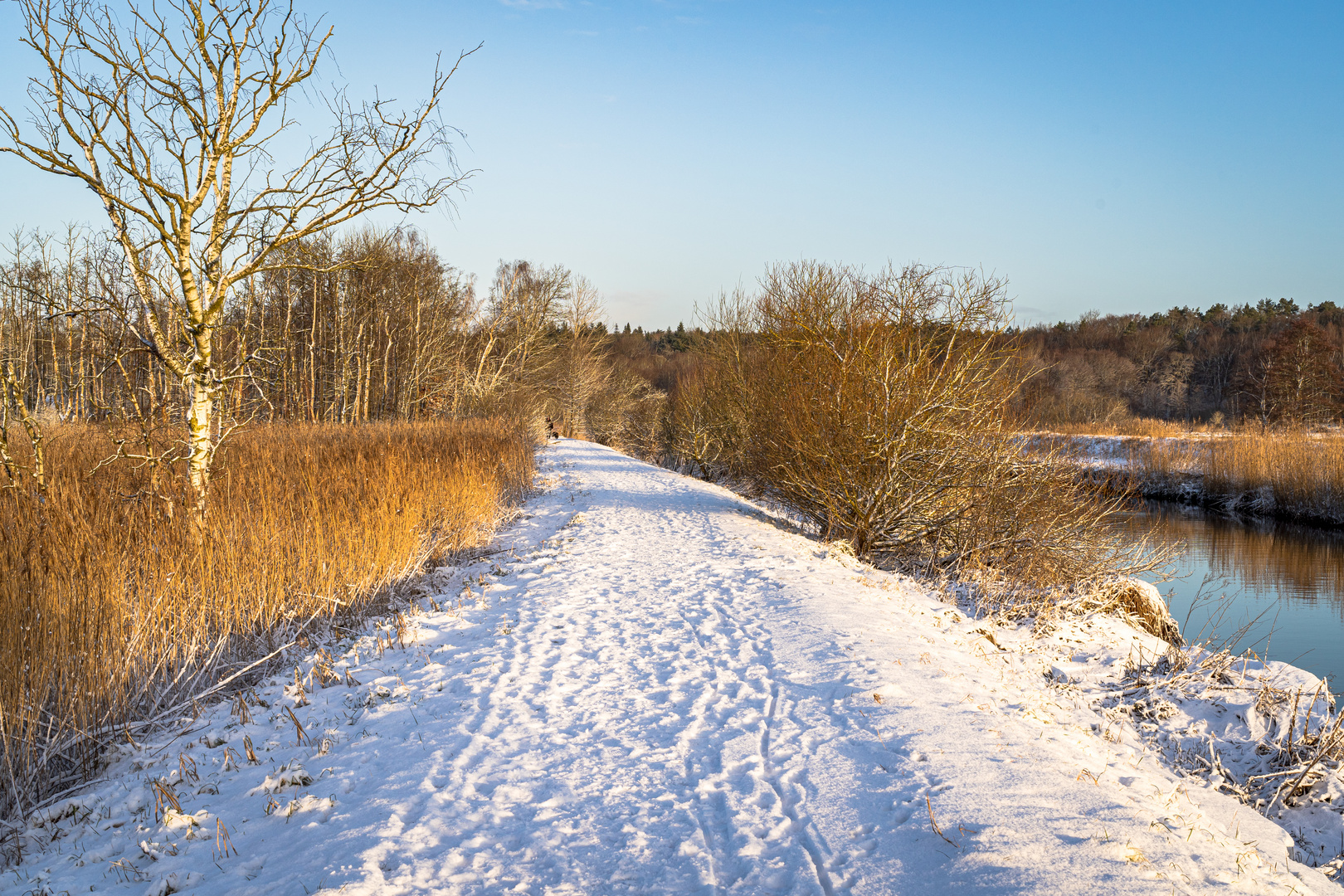 Wintermorgen