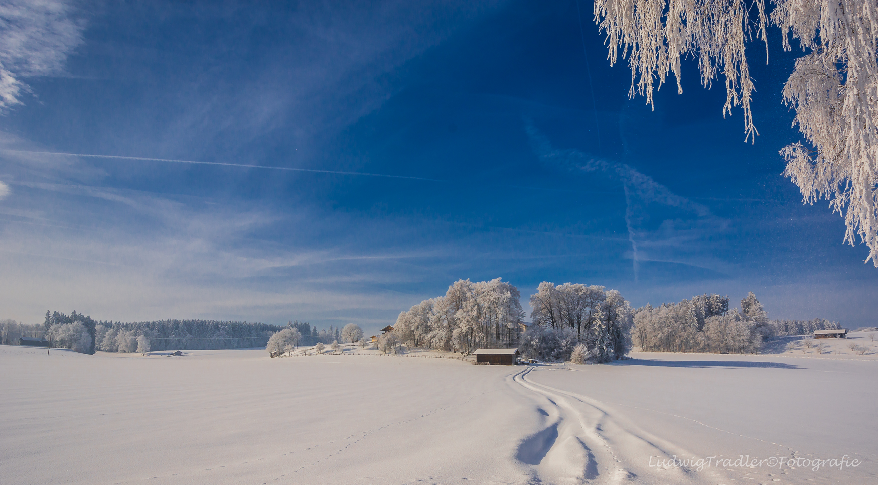 Wintermorgen