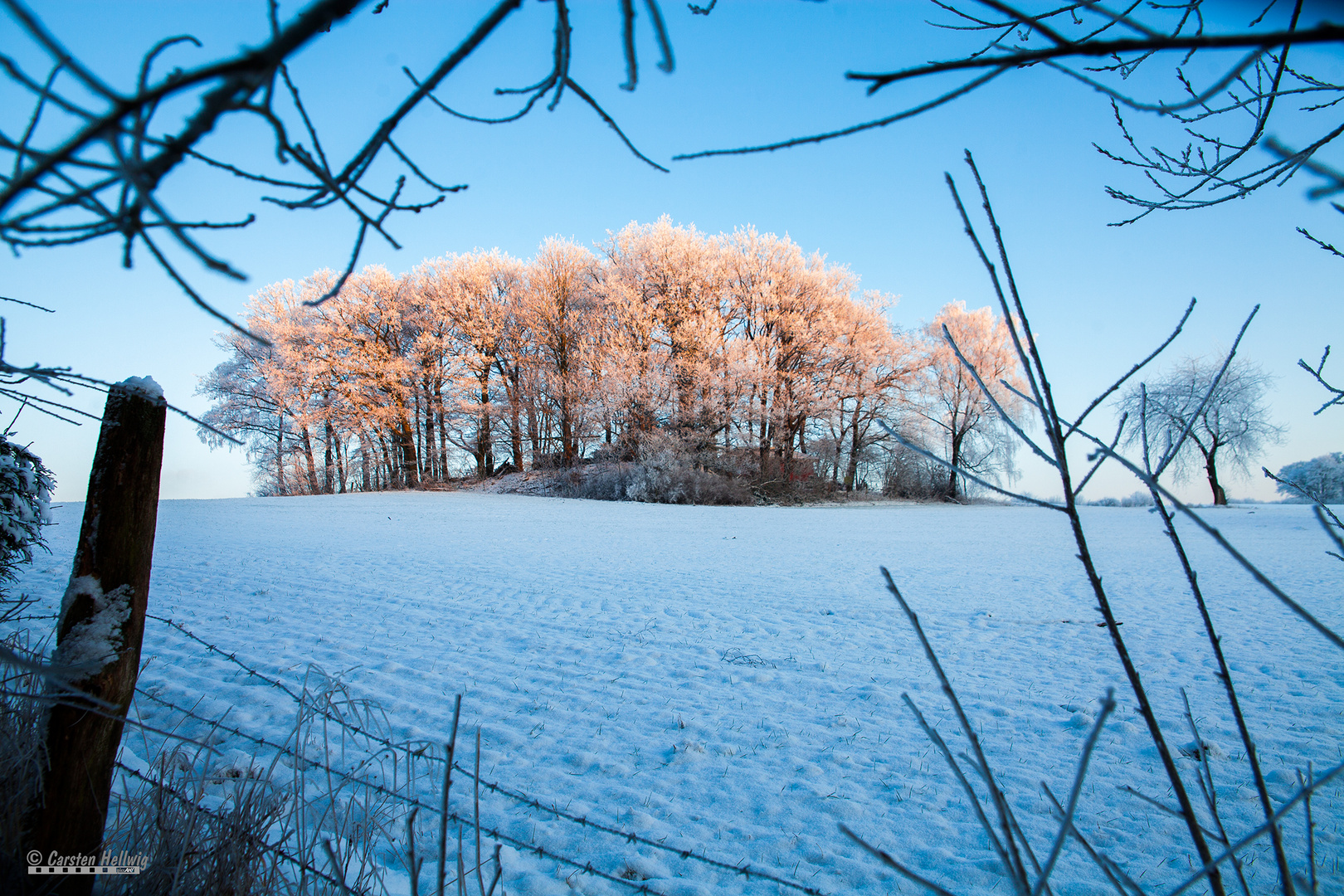 Wintermorgen