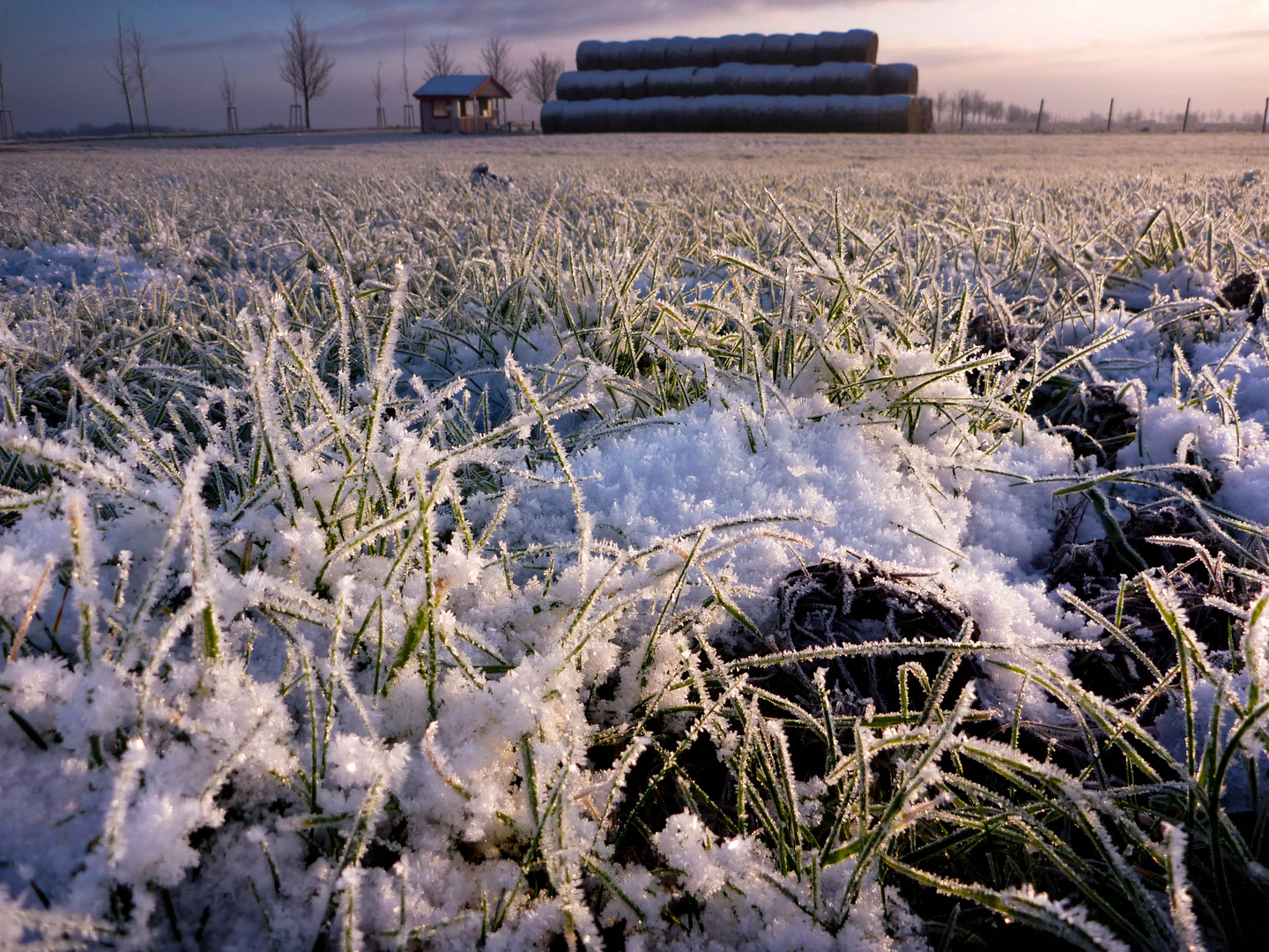 Wintermorgen