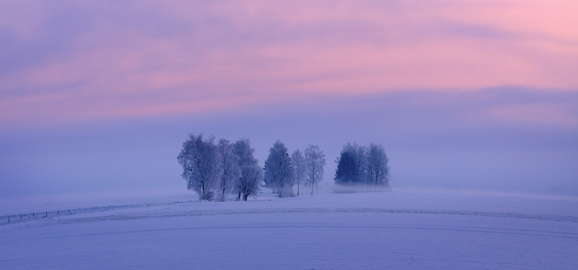 Wintermorgen