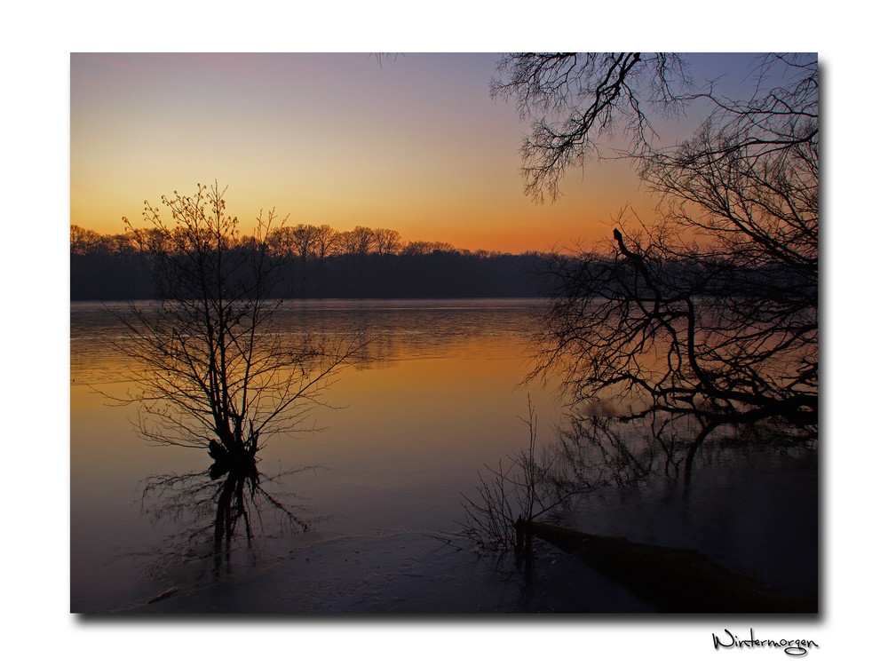 Wintermorgen