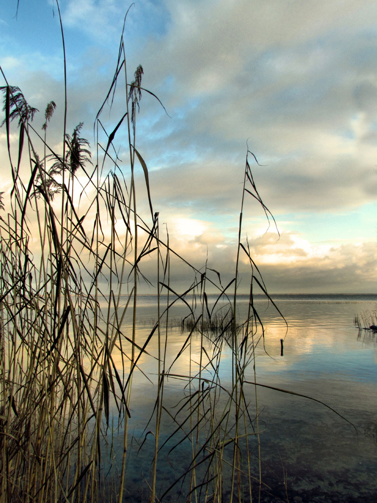 Wintermorgen.....