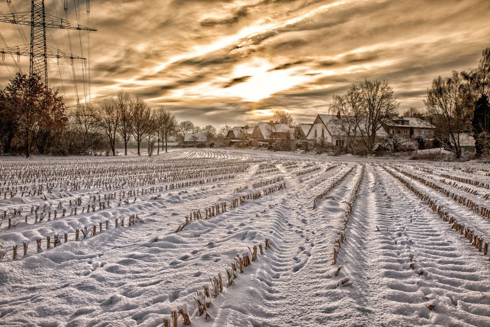 Wintermorgen