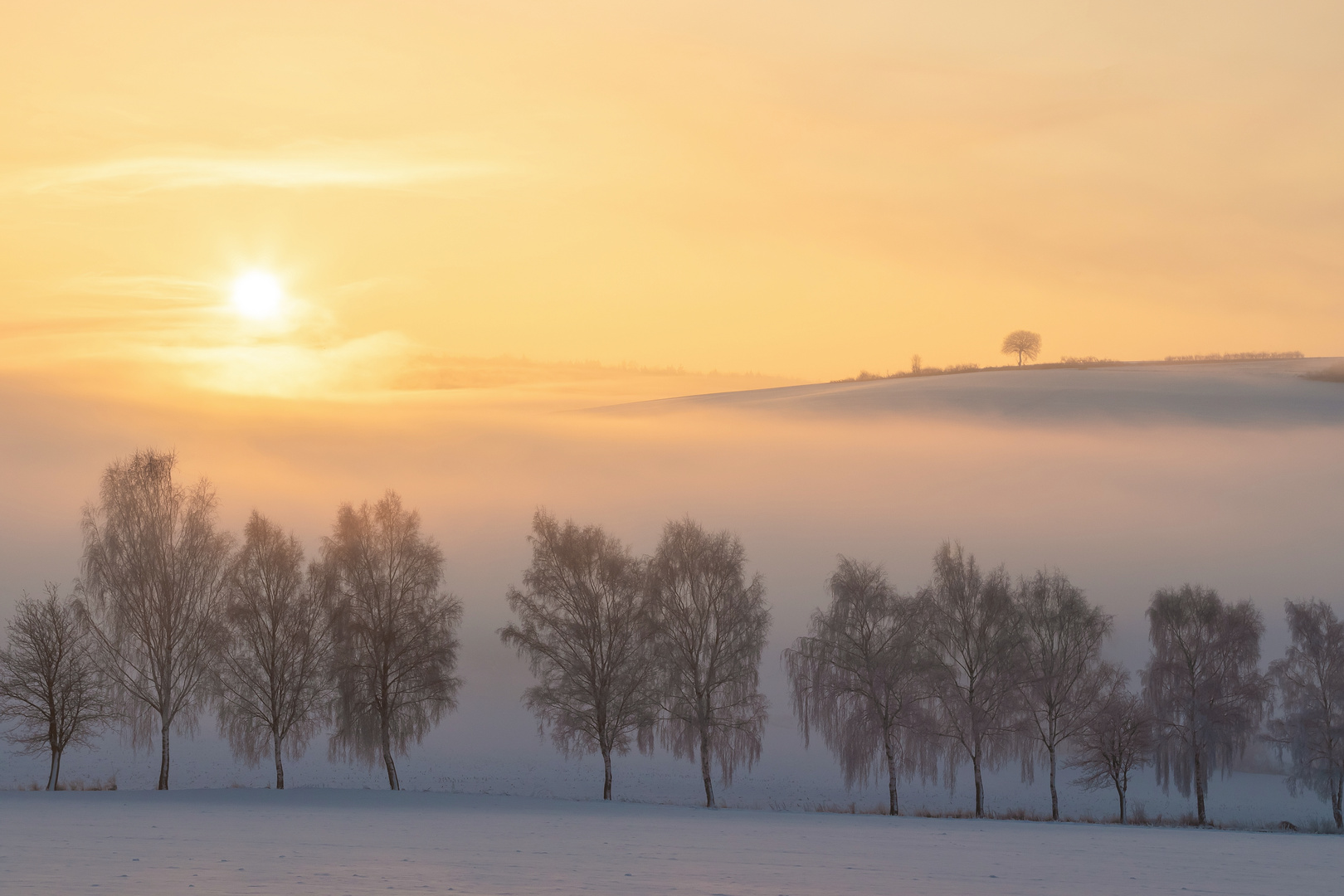 - Wintermorgen -