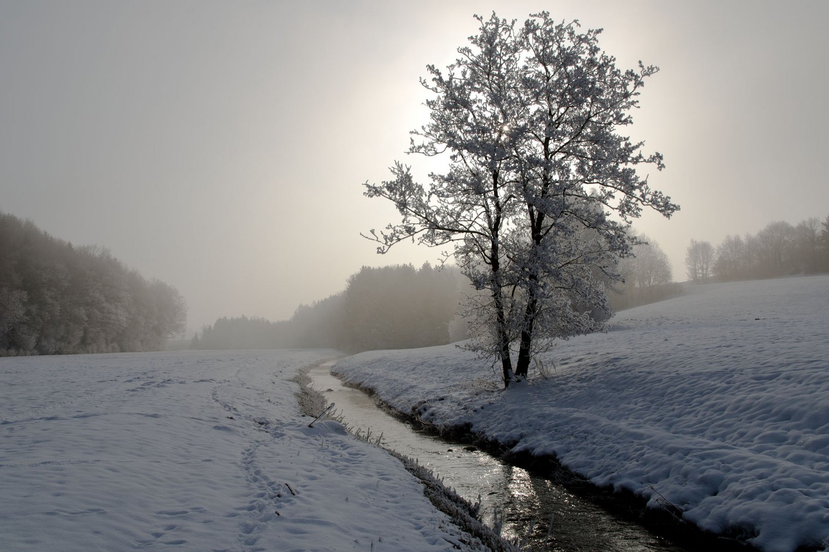 Wintermorgen (1)