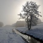 Wintermorgen (1)