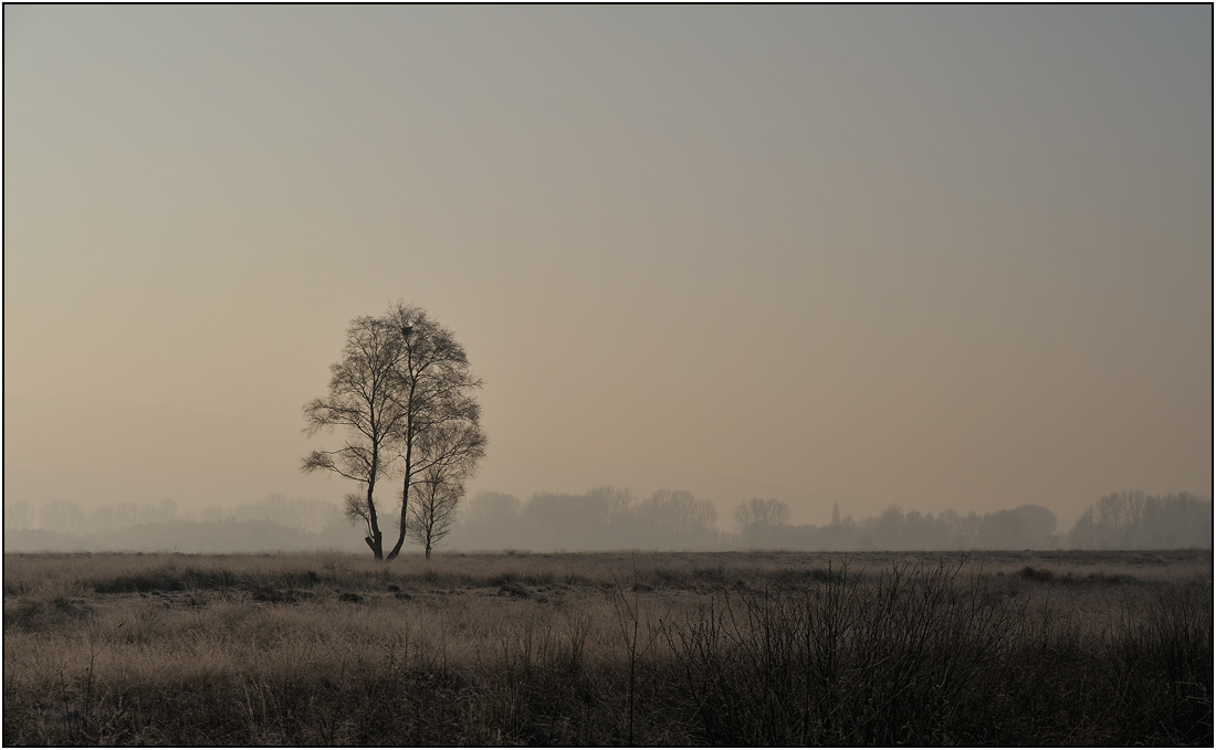 Wintermorgen #1 ...