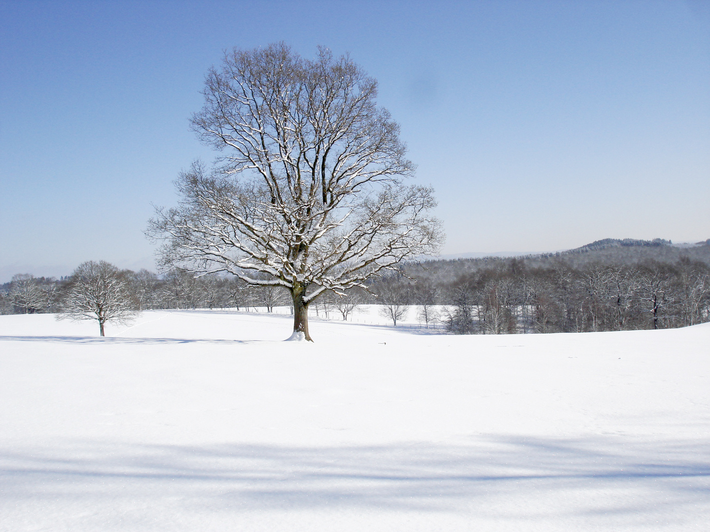 Wintermorgen (1)