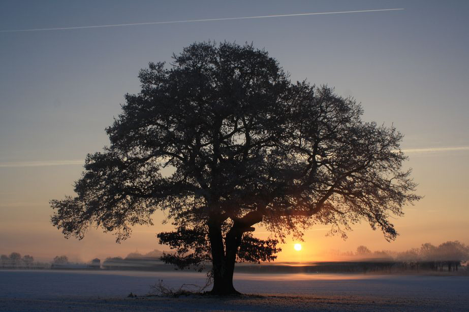 Wintermorgen