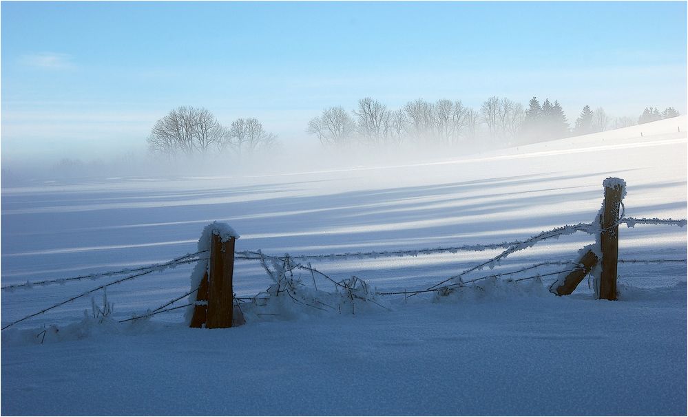 Wintermorgen