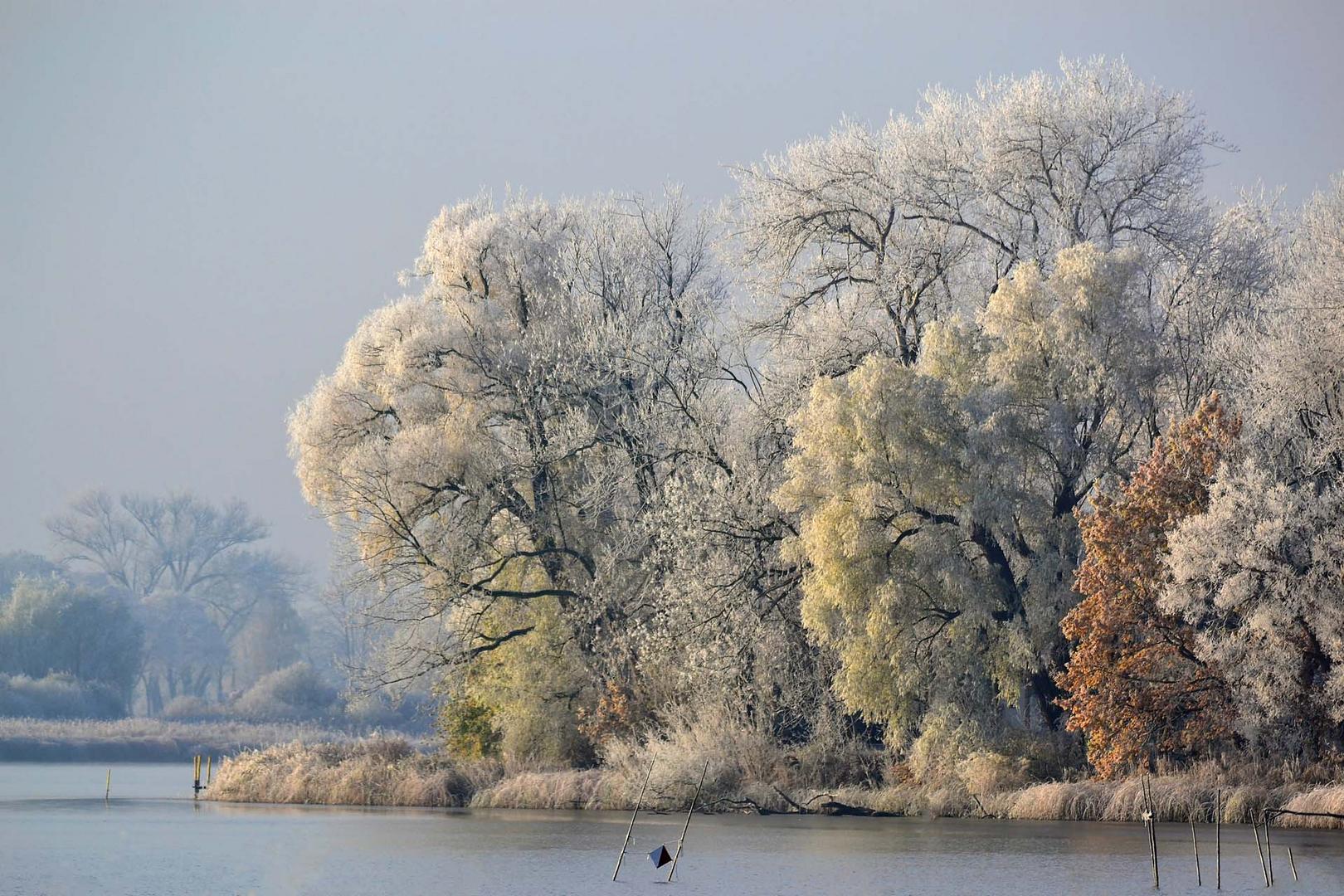 Wintermorgen 