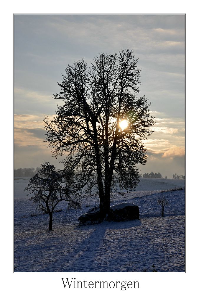 Wintermorgen