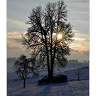 Wintermorgen