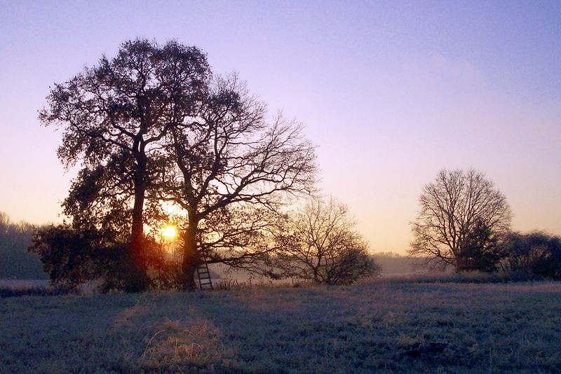 wintermorgen