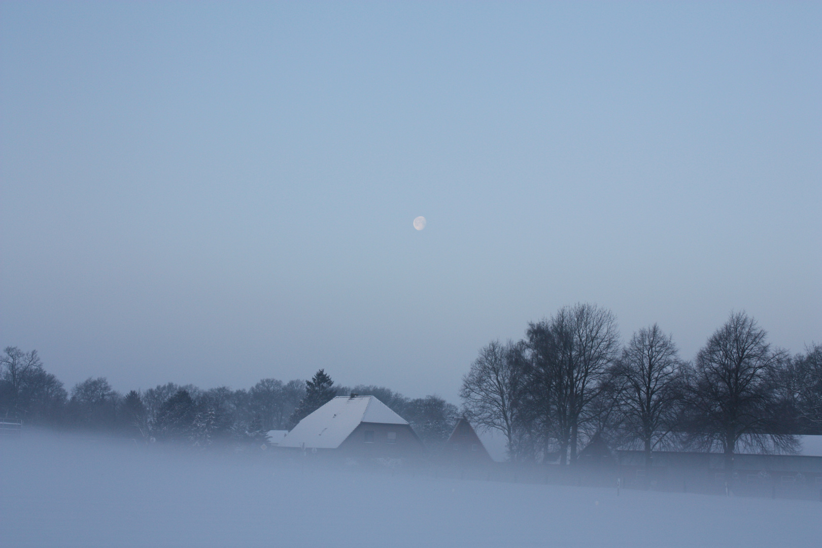 Wintermorgen