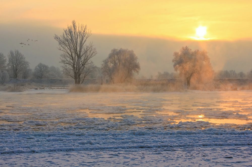 Wintermorgen