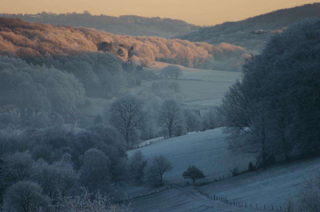 Wintermorgen